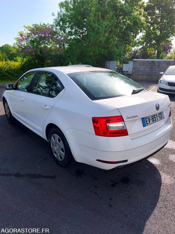 EV-651-CD - Roulant - SKODA OCTAVIA - VP - 348 356 Kms - PKW: das Bild 5 EV-651-CD - Roulant - SKODA OCTAVIA - VP - 348 356 Kms - PKW: das Bild 5