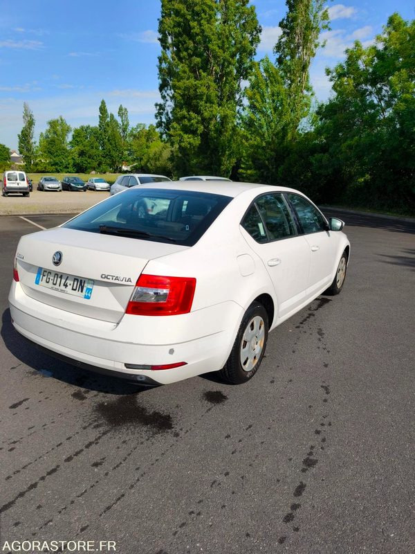 FG-014-DN - Roulant - SKODA OCTAVIA - VP - 354 084 Kms - PKW: das Bild 4 FG-014-DN - Roulant - SKODA OCTAVIA - VP - 354 084 Kms - PKW: das Bild 4