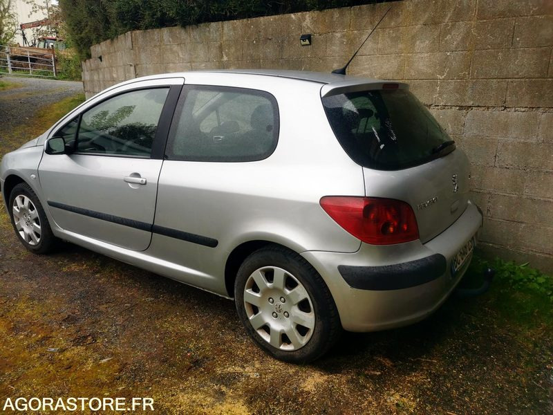 PEUGEOT 307 - PKW: das Bild 3 PEUGEOT 307 - PKW: das Bild 3