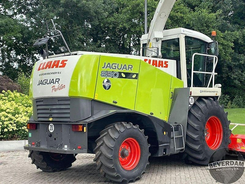Claas Jaguar 830 492 - Landmaschine: das Bild 4 Claas Jaguar 830 492 - Landmaschine: das Bild 4