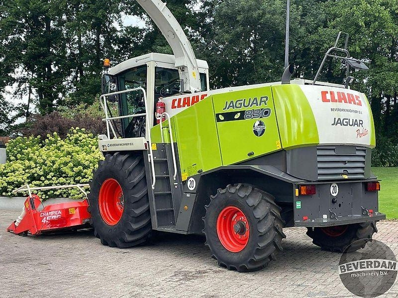 Claas Jaguar 830 492 - Landmaschine: das Bild 3 Claas Jaguar 830 492 - Landmaschine: das Bild 3
