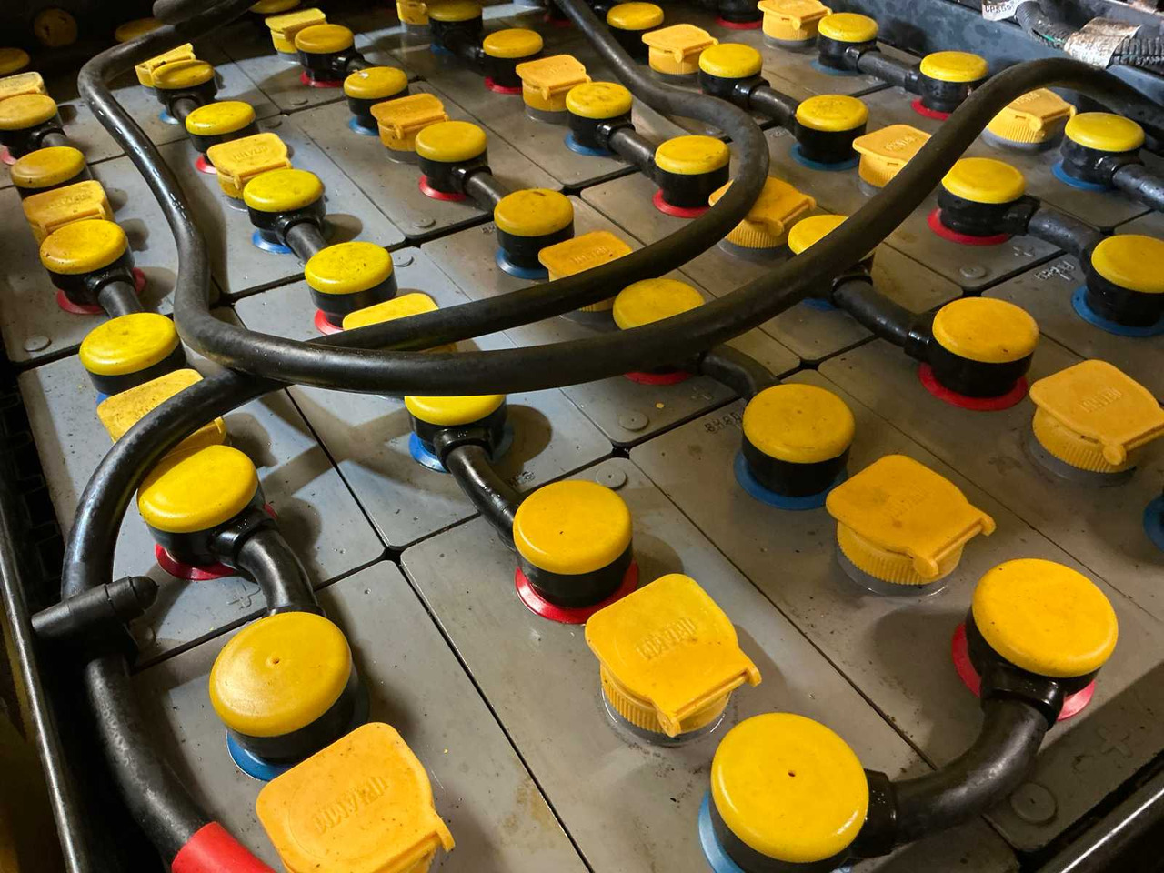 Gabelstapler 2016 HYSTER J16XNTMWB FORKLIFT: das Bild 10