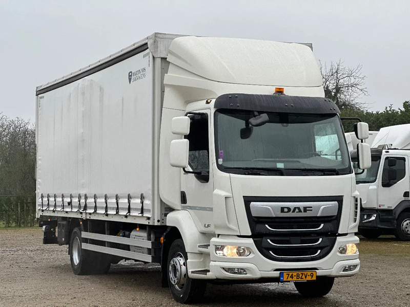 DAF LF 260 LF260.16 EURO6. 2022. - Plane LKW: das Bild 2 DAF LF 260 LF260.16 EURO6. 2022. - Plane LKW: das Bild 2