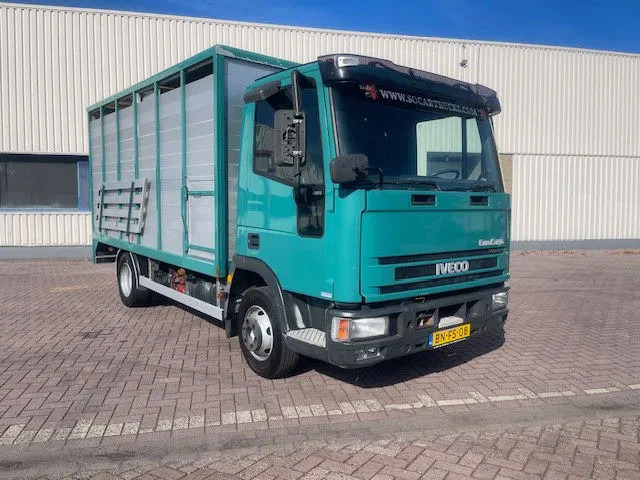 Iveco EuroCargo 65 FULL STEEL / MANUAL-GEAR - Fahrgestell LKW: das Bild 1 Iveco EuroCargo 65 FULL STEEL / MANUAL-GEAR - Fahrgestell LKW: das Bild 1