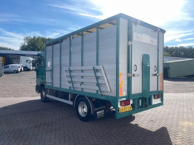 Iveco EuroCargo 65 FULL STEEL / MANUAL-GEAR - Fahrgestell LKW: das Bild 5 Iveco EuroCargo 65 FULL STEEL / MANUAL-GEAR - Fahrgestell LKW: das Bild 5