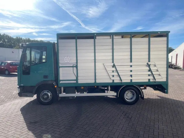 Iveco EuroCargo 65 FULL STEEL / MANUAL-GEAR - Fahrgestell LKW: das Bild 4 Iveco EuroCargo 65 FULL STEEL / MANUAL-GEAR - Fahrgestell LKW: das Bild 4