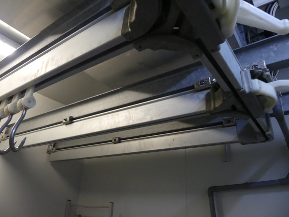 Rail de transport pour viande - Lebensmittelmaschine: das Bild 2 Rail de transport pour viande - Lebensmittelmaschine: das Bild 2