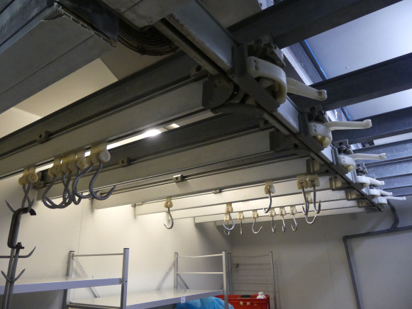 Rail de transport pour viande - Lebensmittelmaschine: das Bild 1 Rail de transport pour viande - Lebensmittelmaschine: das Bild 1