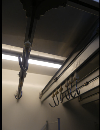 Rail de transport pour viande - Lebensmittelmaschine: das Bild 3 Rail de transport pour viande - Lebensmittelmaschine: das Bild 3