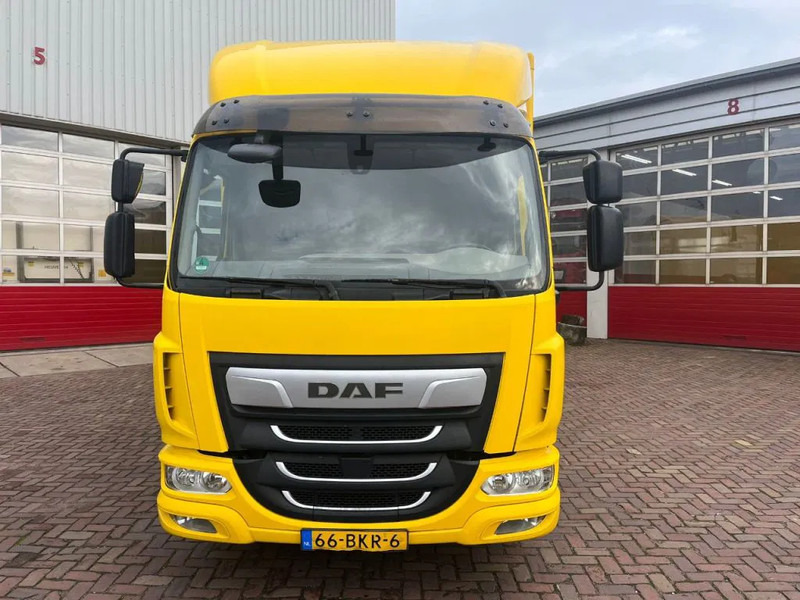 DAF LF 210 FA 12 TN - Koffer LKW: das Bild 2 DAF LF 210 FA 12 TN - Koffer LKW: das Bild 2