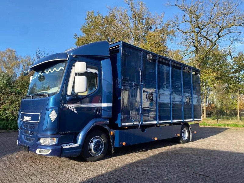 DAF LF 280 - Tiertransporter LKW: das Bild 1 DAF LF 280 - Tiertransporter LKW: das Bild 1