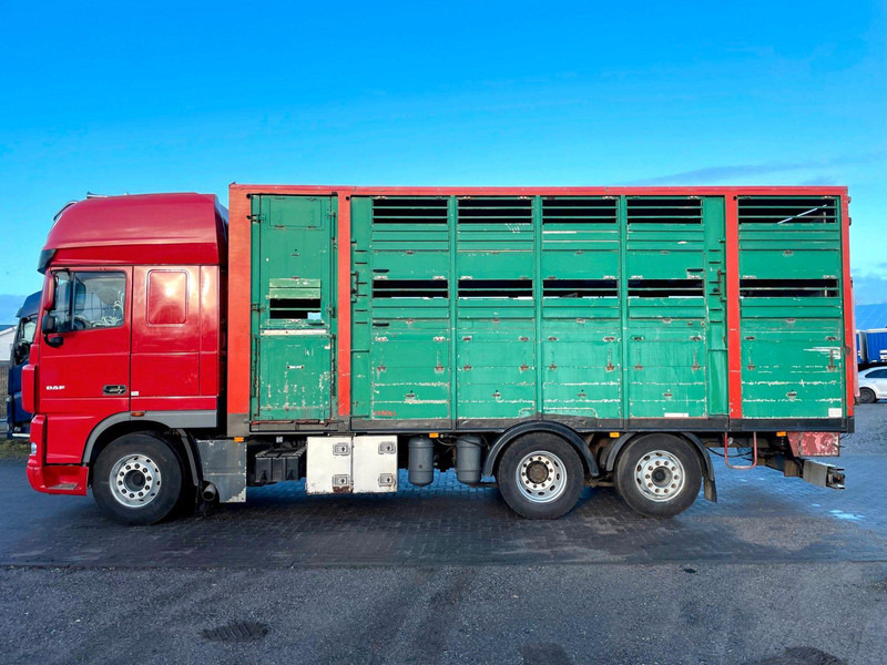 DAF XF 105.460 2-Stock Finkl Viehaufbau / Lenkachs - Tiertransporter LKW: das Bild 5 DAF XF 105.460 2-Stock Finkl Viehaufbau / Lenkachs - Tiertransporter LKW: das Bild 5
