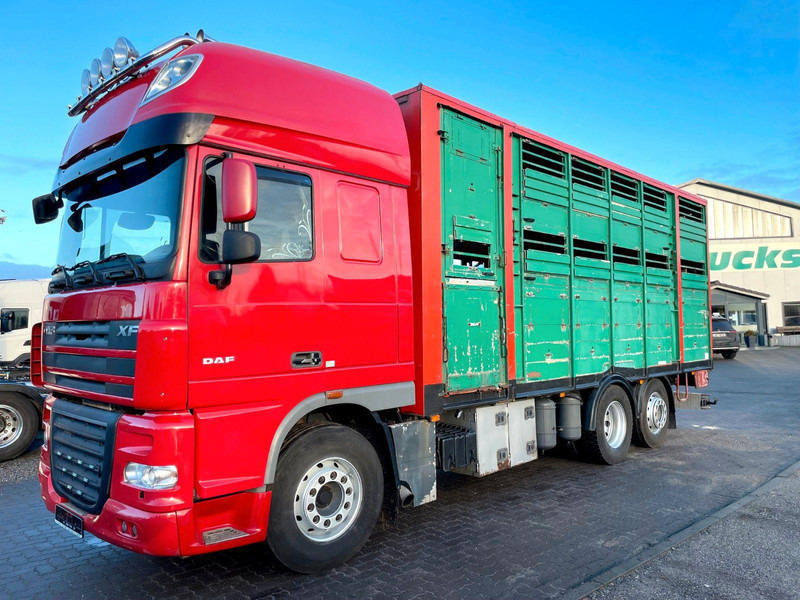DAF XF 105.460 2-Stock Finkl Viehaufbau / Lenkachs - Tiertransporter LKW: das Bild 2 DAF XF 105.460 2-Stock Finkl Viehaufbau / Lenkachs - Tiertransporter LKW: das Bild 2
