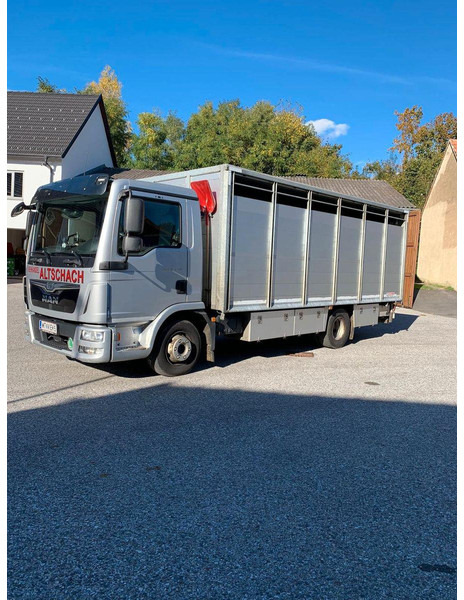 MAN TGL 12.250 - Tiertransporter LKW: das Bild 2 MAN TGL 12.250 - Tiertransporter LKW: das Bild 2