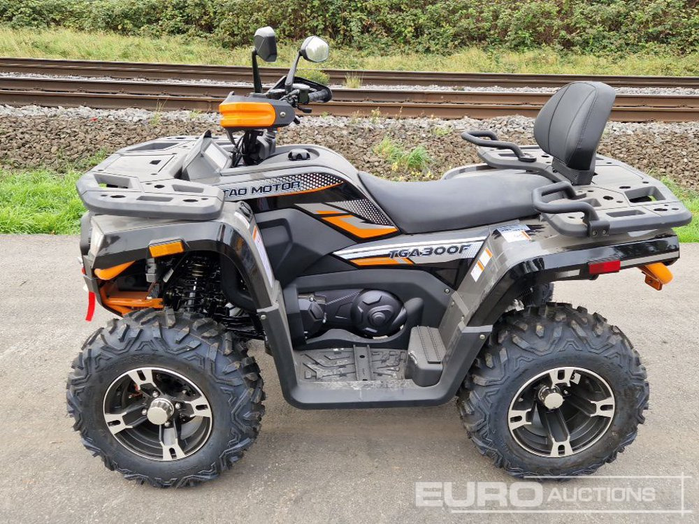 Unused TAO Motors TGA300F - Quad: das Bild 2 Unused TAO Motors TGA300F - Quad: das Bild 2
