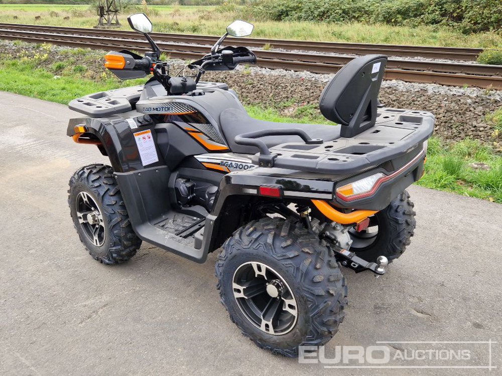 Unused TAO Motors TGA300F - Quad: das Bild 3 Unused TAO Motors TGA300F - Quad: das Bild 3