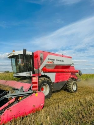 Massey Ferguson 7274 CEREA - Mähdrescher: das Bild 1 Massey Ferguson 7274 CEREA - Mähdrescher: das Bild 1
