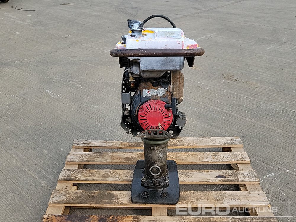 2019 Wacker Neuson BS50-4S - Asphalttechnik: das Bild 4 2019 Wacker Neuson BS50-4S - Asphalttechnik: das Bild 4