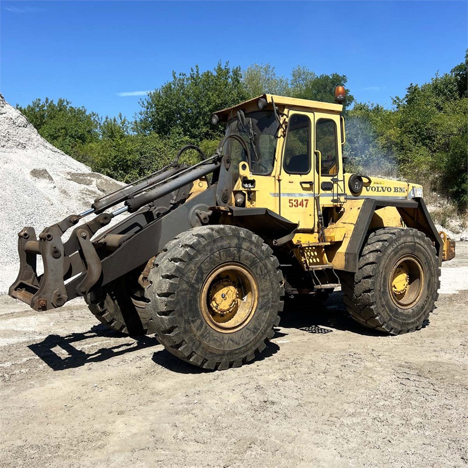 Volvo L70 - Radlader: das Bild 5 Volvo L70 - Radlader: das Bild 5