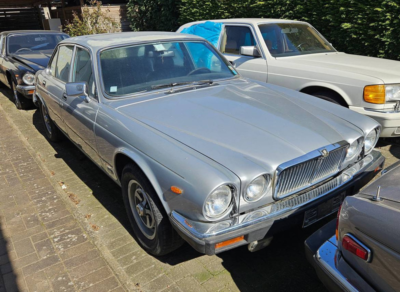 Jaguar 'XJ (series III) 6 _ 4.2 Automatic - Limousine: das Bild 1 Jaguar 'XJ (series III) 6 _ 4.2 Automatic - Limousine: das Bild 1