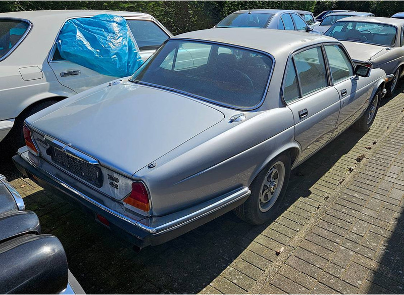 Jaguar 'XJ (series III) 6 _ 4.2 Automatic - Limousine: das Bild 2 Jaguar 'XJ (series III) 6 _ 4.2 Automatic - Limousine: das Bild 2