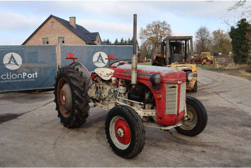 Traktor Massey Ferguson Ferguson Vintage Tractor: das Bild 6 Traktor Massey Ferguson Ferguson Vintage Tractor: das Bild 6