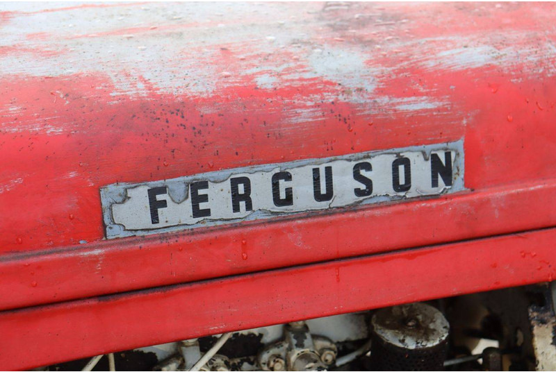 Traktor Massey Ferguson Ferguson Vintage Tractor: das Bild 11 Traktor Massey Ferguson Ferguson Vintage Tractor: das Bild 11