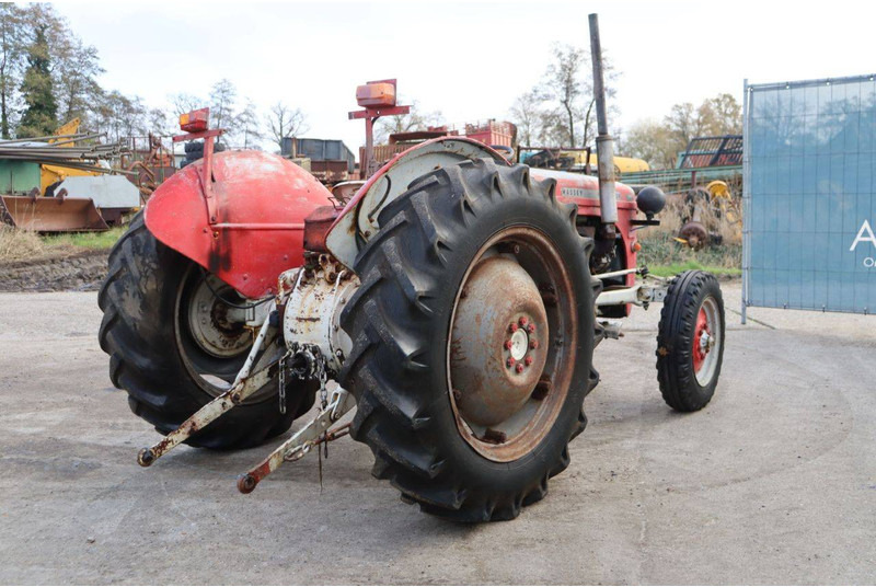 Massey Ferguson Ferguson Vintage Tractor - Traktor: das Bild 5 Massey Ferguson Ferguson Vintage Tractor - Traktor: das Bild 5
