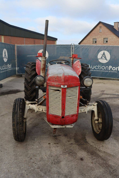 Traktor Massey Ferguson Ferguson Vintage Tractor: das Bild 7 Traktor Massey Ferguson Ferguson Vintage Tractor: das Bild 7