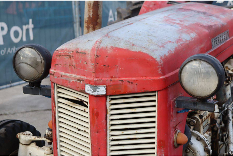Traktor Massey Ferguson Ferguson Vintage Tractor: das Bild 10 Traktor Massey Ferguson Ferguson Vintage Tractor: das Bild 10