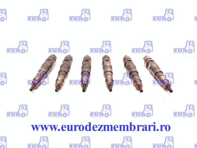 SET INJECTOARE MAN D20 51.10100.6064, 51.10100.6126 - Injektor für LKW: das Bild 1 SET INJECTOARE MAN D20 51.10100.6064, 51.10100.6126 - Injektor für LKW: das Bild 1