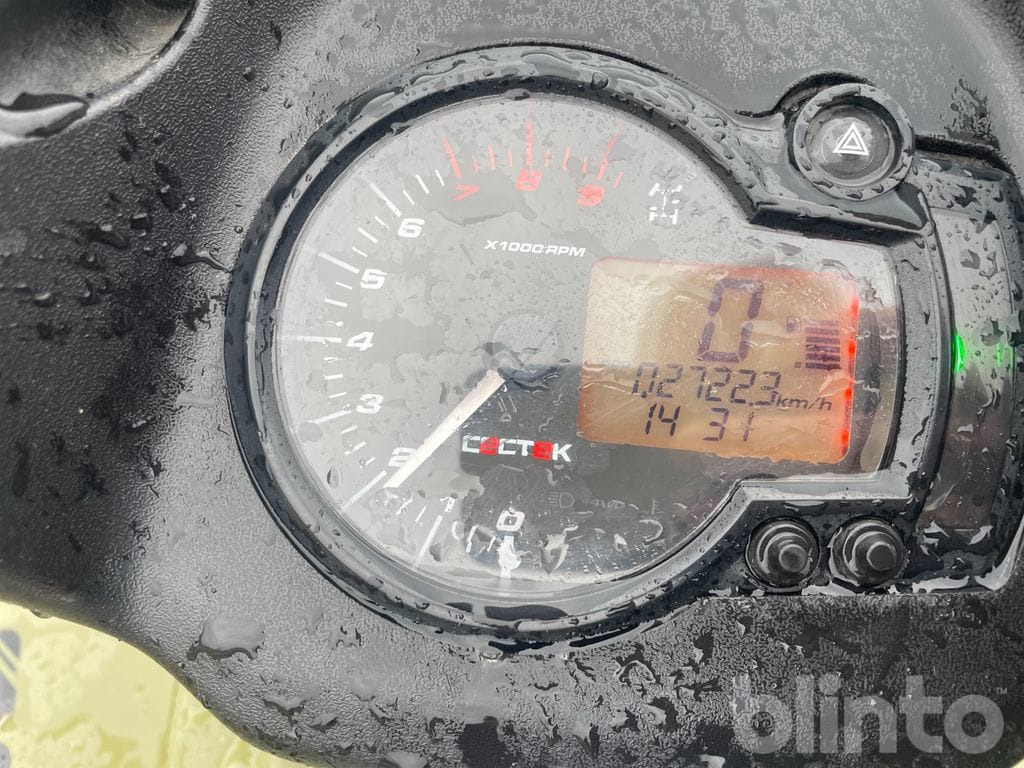 Quad CECTEC GLADIATOR: das Bild 24 Quad CECTEC GLADIATOR: das Bild 24