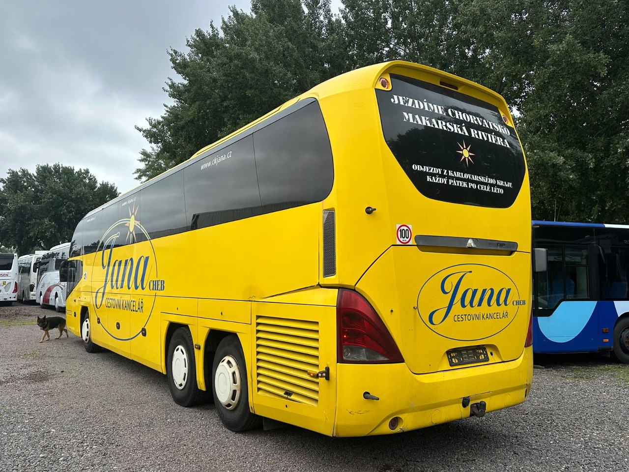 Neoplan P15 Cityliner Euro4*55 Sitze - Reisebus: das Bild 2 Neoplan P15 Cityliner Euro4*55 Sitze - Reisebus: das Bild 2